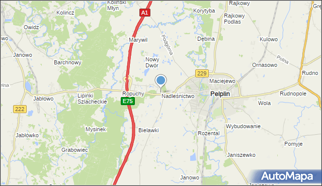 mapa Nadleśnictwo, Nadleśnictwo na mapie Targeo