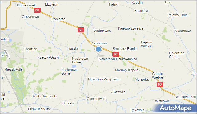 mapa Nasierowo-Dziurawieniec, Nasierowo-Dziurawieniec na mapie Targeo