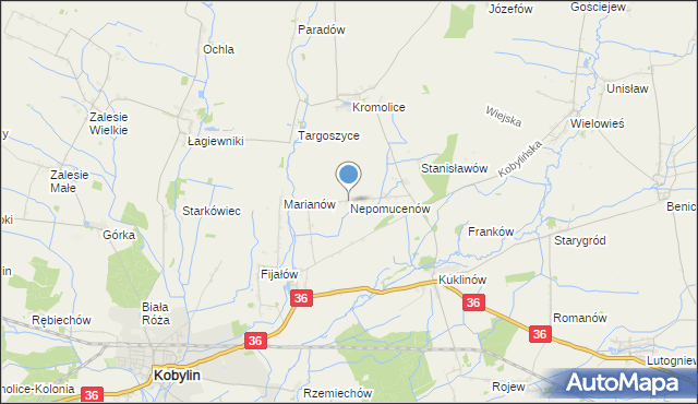 mapa Nepomucenów, Nepomucenów gmina Kobylin na mapie Targeo
