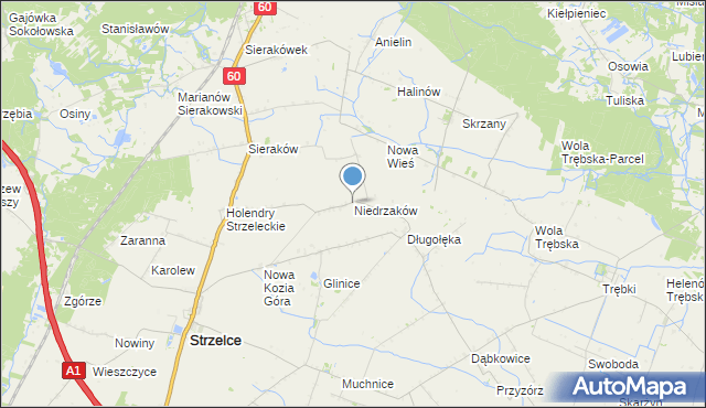 mapa Niedrzaków, Niedrzaków na mapie Targeo