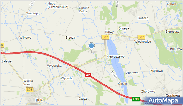 mapa Niepruszewo-Huby, Niepruszewo-Huby na mapie Targeo