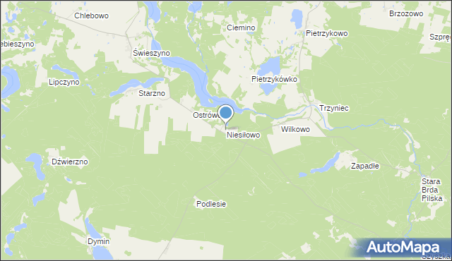 mapa Niesiłowo, Niesiłowo na mapie Targeo