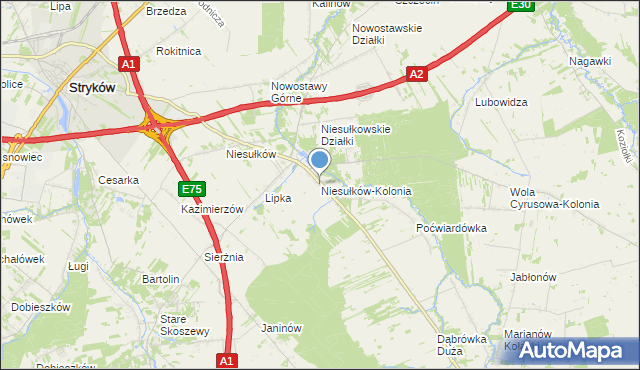 mapa Niesułków-Kolonia, Niesułków-Kolonia na mapie Targeo