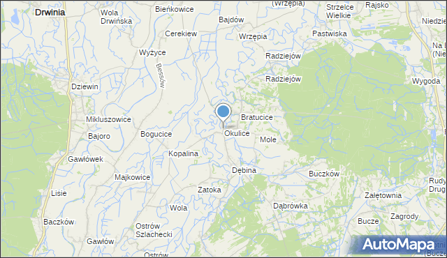 mapa Okulice, Okulice gmina Rzezawa na mapie Targeo