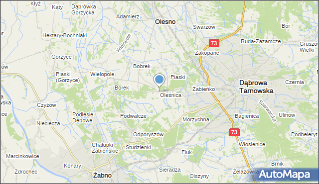 mapa Oleśnica, Oleśnica gmina Olesno na mapie Targeo