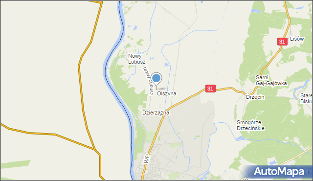 mapa Olszyna, Olszyna gmina Słubice na mapie Targeo