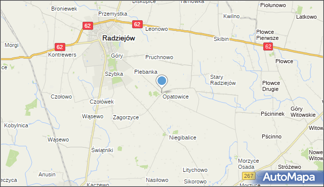 mapa Opatowice, Opatowice gmina Radziejów na mapie Targeo