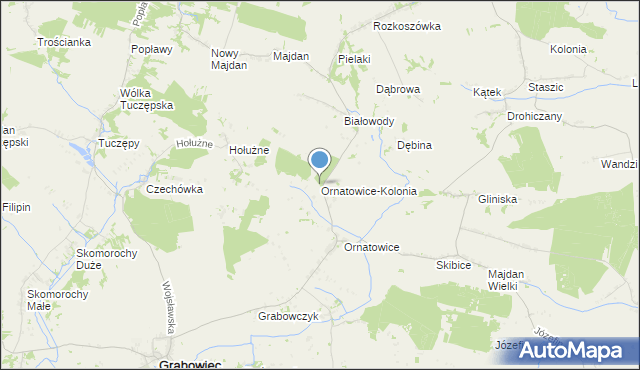 mapa Ornatowice-Kolonia, Ornatowice-Kolonia na mapie Targeo