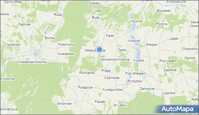 mapa Ostrownica-Kolonia, Ostrownica-Kolonia na mapie Targeo