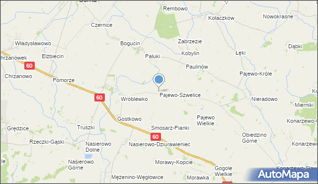 mapa Pajewo-Szwelice, Pajewo-Szwelice na mapie Targeo