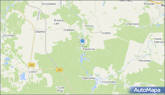 mapa Papiernia, Papiernia gmina Międzychód na mapie Targeo