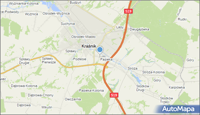 mapa Pasieka, Pasieka gmina Kraśnik na mapie Targeo