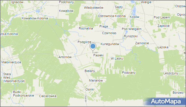mapa Pasieki, Pasieki gmina Ciepielów na mapie Targeo