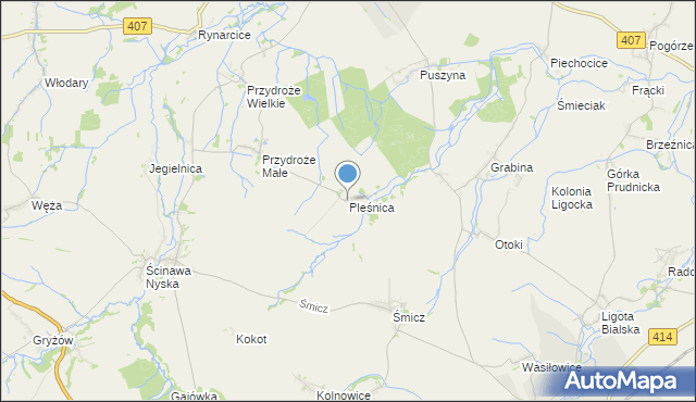 mapa Pleśnica, Pleśnica na mapie Targeo