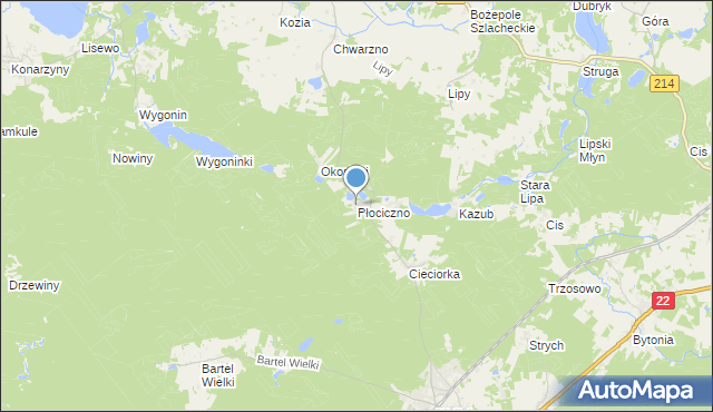 mapa Płociczno, Płociczno gmina Kaliska na mapie Targeo