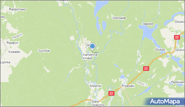 mapa Podszkle, Podszkle gmina Dobiegniew na mapie Targeo