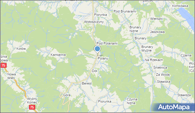 mapa Polany, Polany gmina Krynica-Zdrój na mapie Targeo