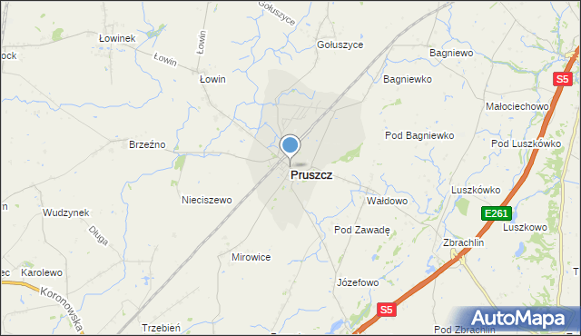 mapa Pruszcz, Pruszcz powiat świecki na mapie Targeo