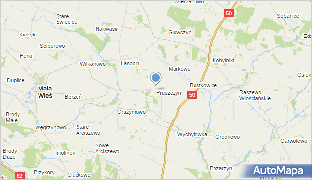 mapa Pruszczyn, Pruszczyn na mapie Targeo