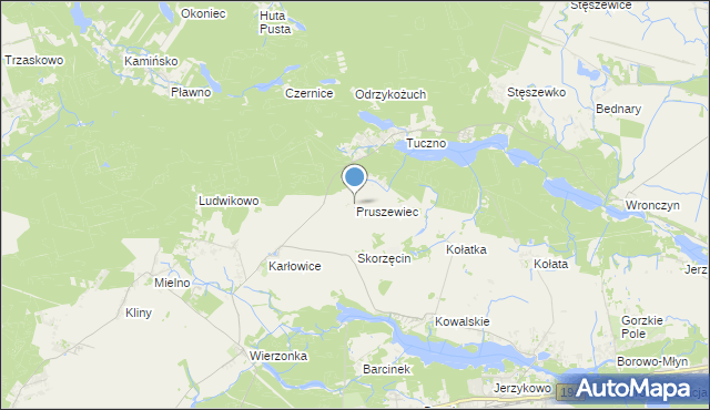 mapa Pruszewiec, Pruszewiec na mapie Targeo