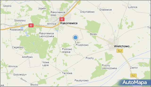 mapa Pruszkowo, Pruszkowo gmina Wielichowo na mapie Targeo