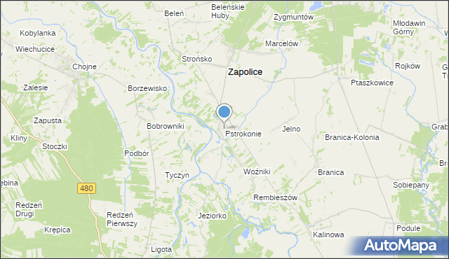 mapa Pstrokonie, Pstrokonie na mapie Targeo