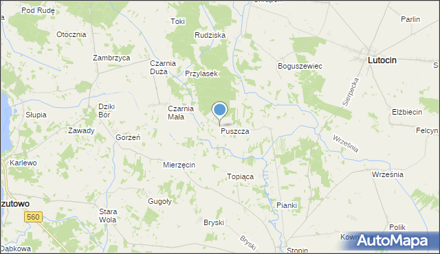 mapa Puszcza, Puszcza gmina Rościszewo na mapie Targeo