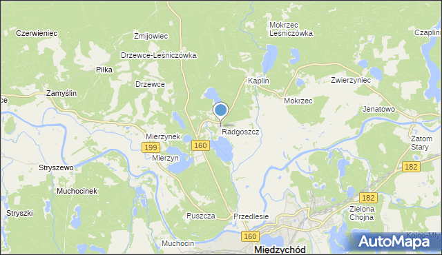 mapa Radgoszcz, Radgoszcz gmina Międzychód na mapie Targeo