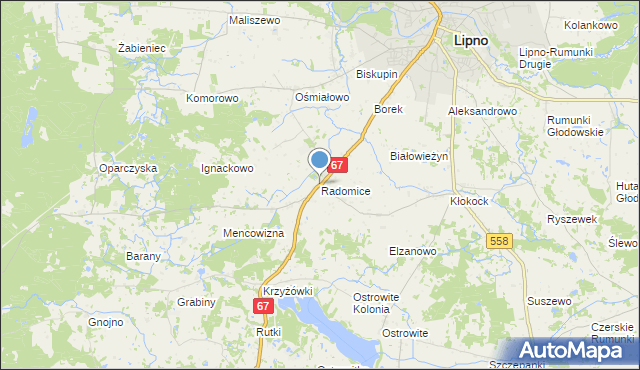 mapa Radomice, Radomice gmina Lipno na mapie Targeo