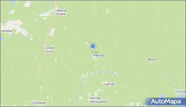 mapa Radusz, Radusz gmina Międzychód na mapie Targeo