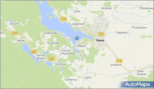 mapa Radzyń, Radzyń gmina Sława na mapie Targeo