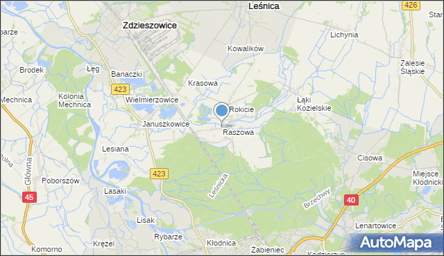 mapa Raszowa, Raszowa gmina Leśnica na mapie Targeo