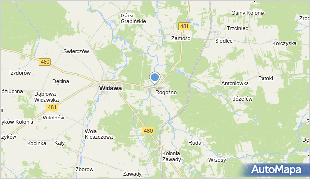 mapa Rogóźno, Rogóźno gmina Widawa na mapie Targeo