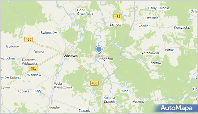 mapa Rogóźno, Rogóźno gmina Widawa na mapie Targeo