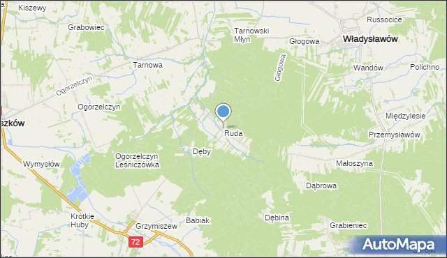 mapa Ruda, Ruda gmina Tuliszków na mapie Targeo