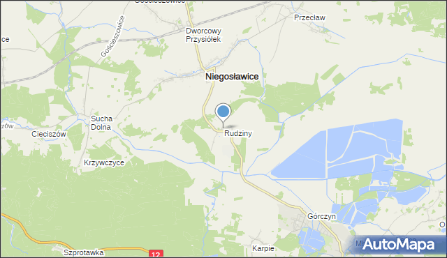 mapa Rudziny, Rudziny gmina Niegosławice na mapie Targeo