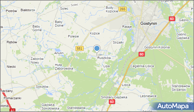 mapa Ruszków, Ruszków gmina Gostynin na mapie Targeo