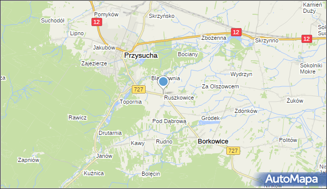 mapa Ruszkowice, Ruszkowice gmina Borkowice na mapie Targeo