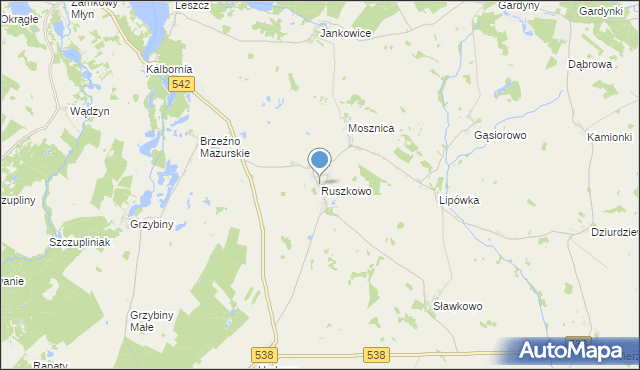 mapa Ruszkowo, Ruszkowo gmina Działdowo na mapie Targeo