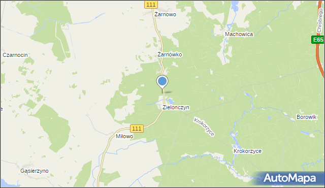 mapa Rybitwa, Rybitwa na mapie Targeo