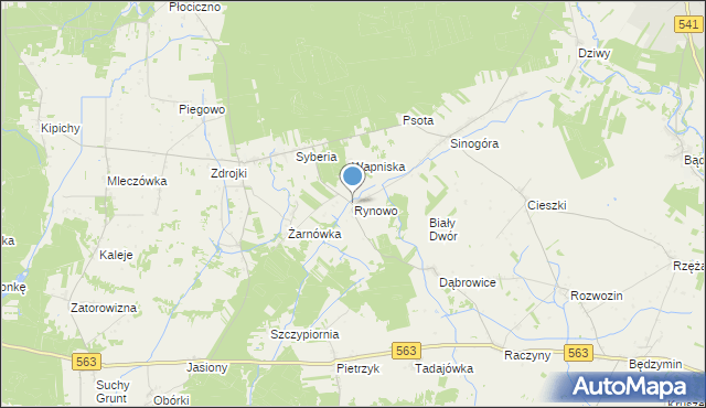 mapa Rynowo, Rynowo gmina Lubowidz na mapie Targeo