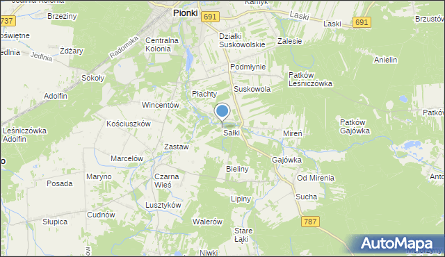 mapa Sałki, Sałki gmina Pionki na mapie Targeo