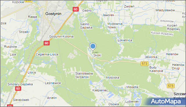 mapa Skoki, Skoki gmina Gostynin na mapie Targeo