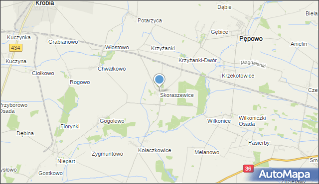 mapa Skoraszewice, Skoraszewice na mapie Targeo