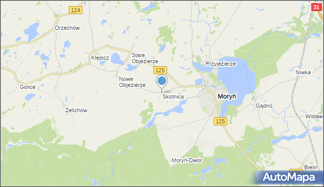 mapa Skotnica, Skotnica gmina Moryń na mapie Targeo