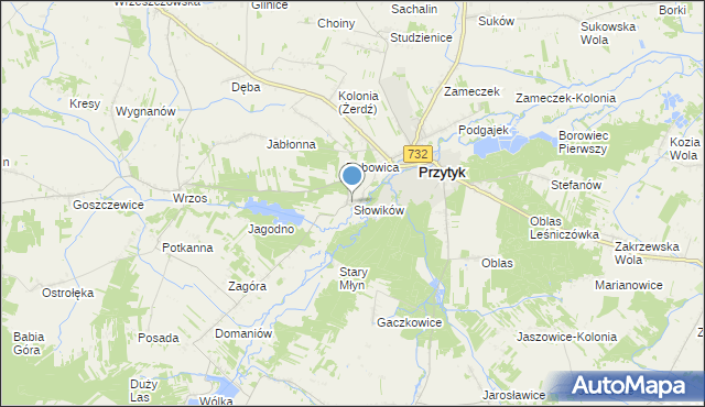 mapa Słowików, Słowików gmina Przytyk na mapie Targeo