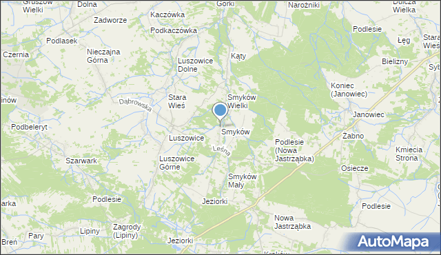 mapa Smyków, Smyków gmina Radgoszcz na mapie Targeo