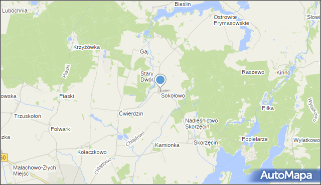 mapa Sokołowo, Sokołowo gmina Witkowo na mapie Targeo