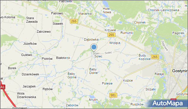 mapa Solec, Solec gmina Gostynin na mapie Targeo