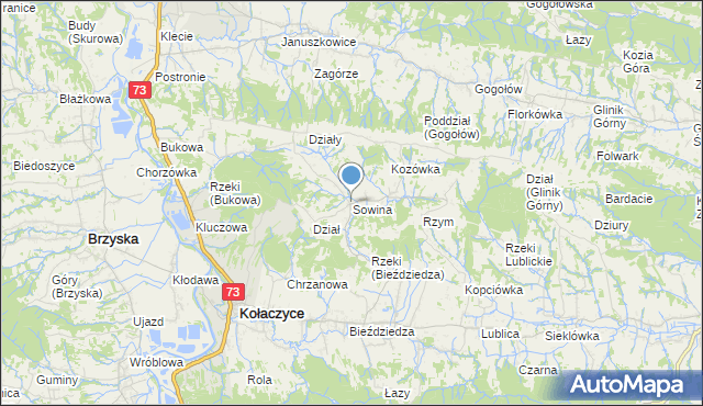 mapa Sowina, Sowina gmina Kołaczyce na mapie Targeo